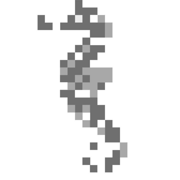 The Pregnant Seahorse